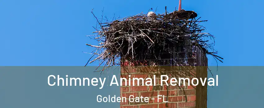 Chimney Animal Removal Golden Gate - FL