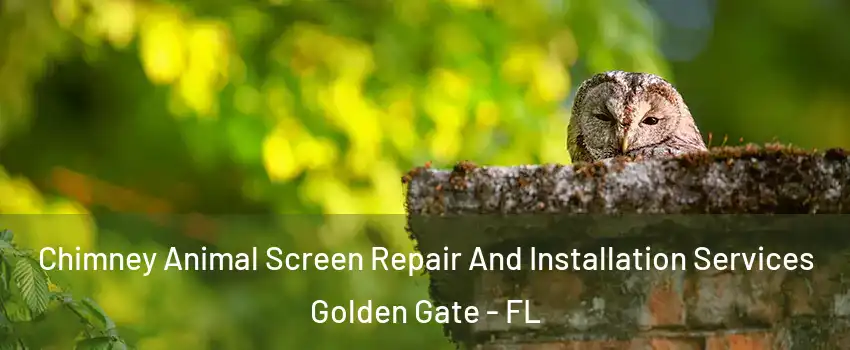  Chimney Animal Screen Repair And Installation Services Golden Gate - FL