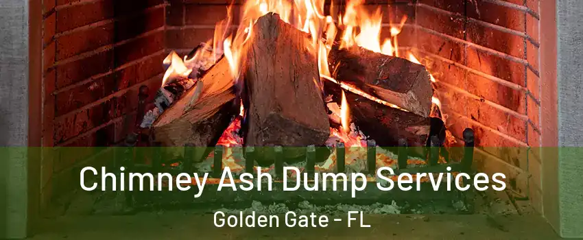  Chimney Ash Dump Services Golden Gate - FL