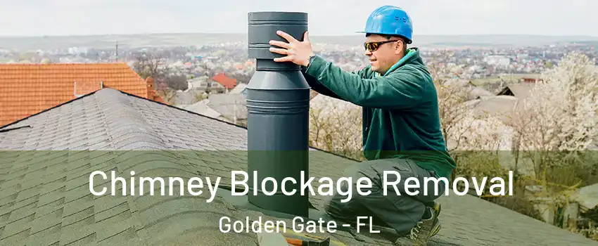  Chimney Blockage Removal Golden Gate - FL