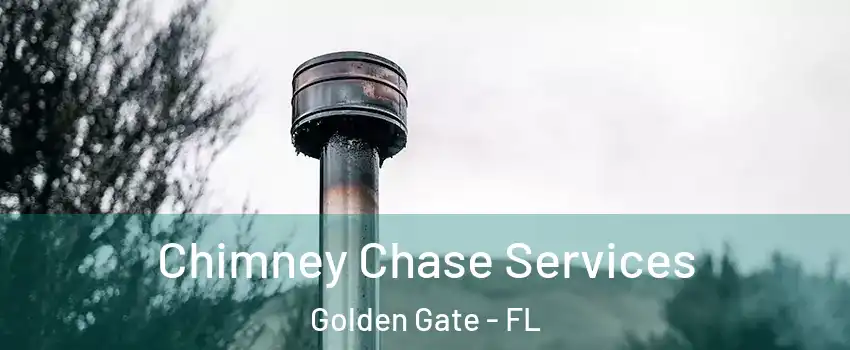  Chimney Chase Services Golden Gate - FL