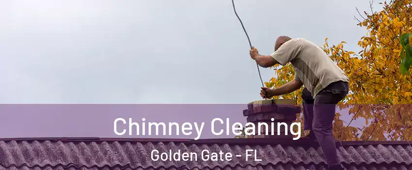  Chimney Cleaning Golden Gate - FL