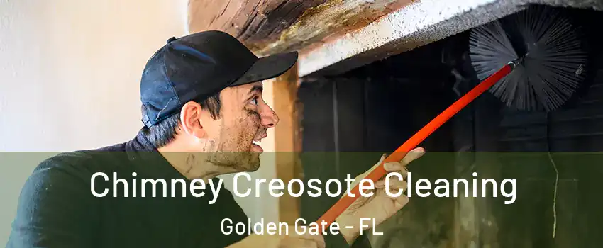  Chimney Creosote Cleaning Golden Gate - FL