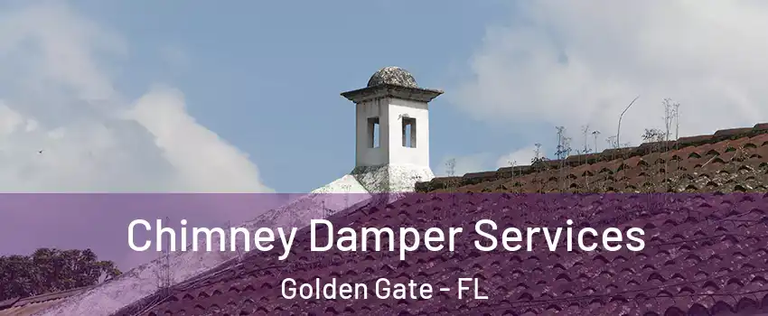  Chimney Damper Services Golden Gate - FL