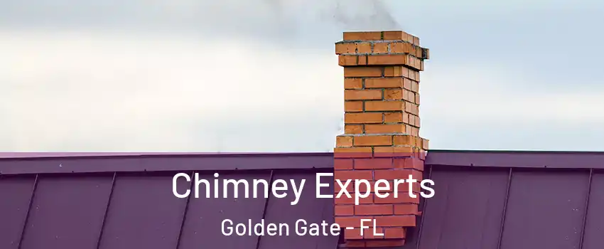 Chimney Experts Golden Gate - FL