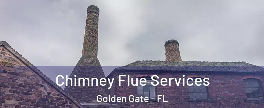  Chimney Flue Services Golden Gate - FL