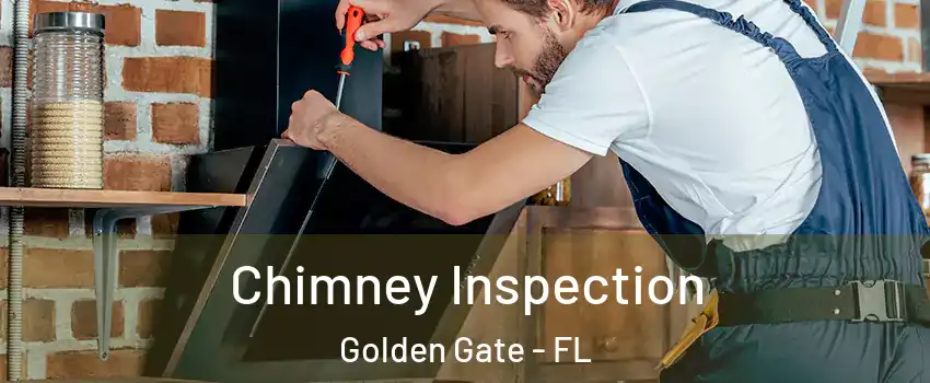  Chimney Inspection Golden Gate - FL