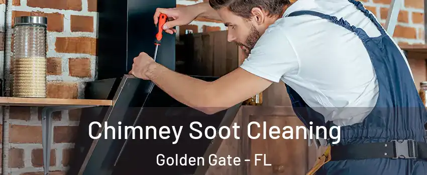  Chimney Soot Cleaning Golden Gate - FL