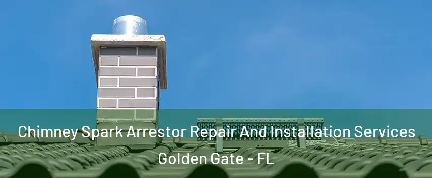  Chimney Spark Arrestor Repair And Installation Services Golden Gate - FL
