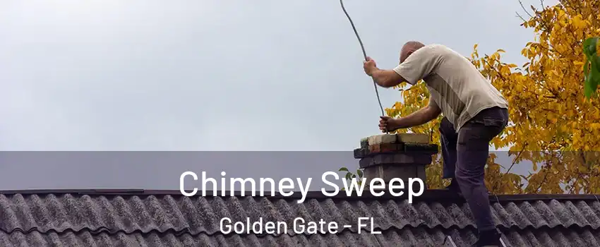  Chimney Sweep Golden Gate - FL