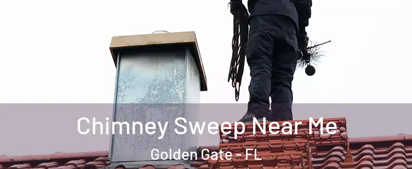  Chimney Sweep Near Me Golden Gate - FL