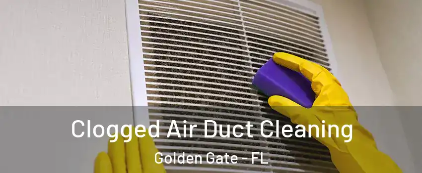  Clogged Air Duct Cleaning Golden Gate - FL