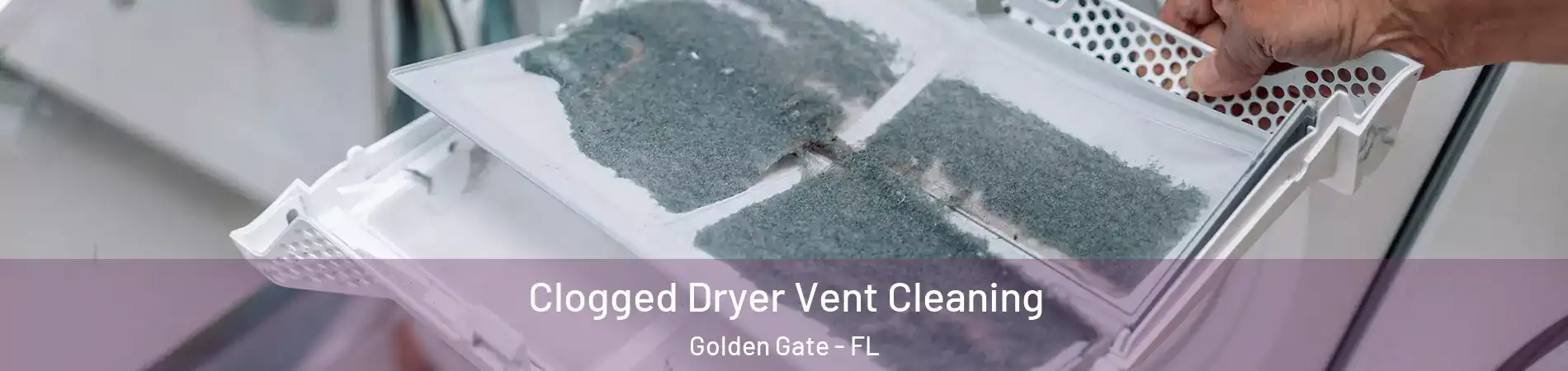  Clogged Dryer Vent Cleaning Golden Gate - FL