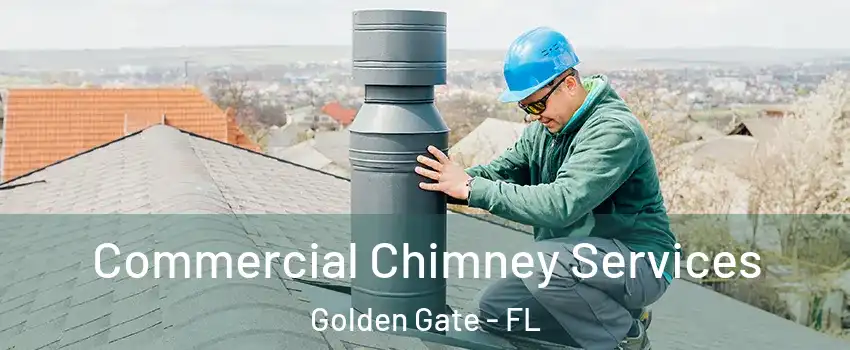  Commercial Chimney Services Golden Gate - FL