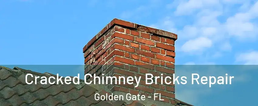  Cracked Chimney Bricks Repair Golden Gate - FL