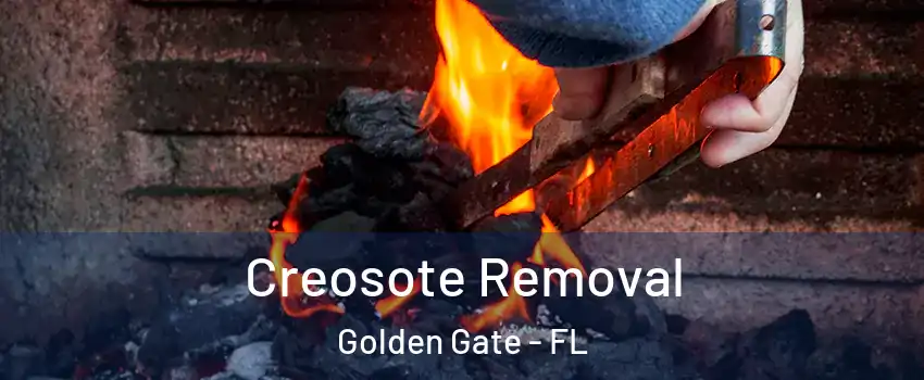 Creosote Removal Golden Gate - FL