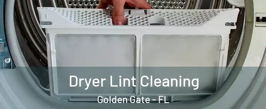  Dryer Lint Cleaning Golden Gate - FL