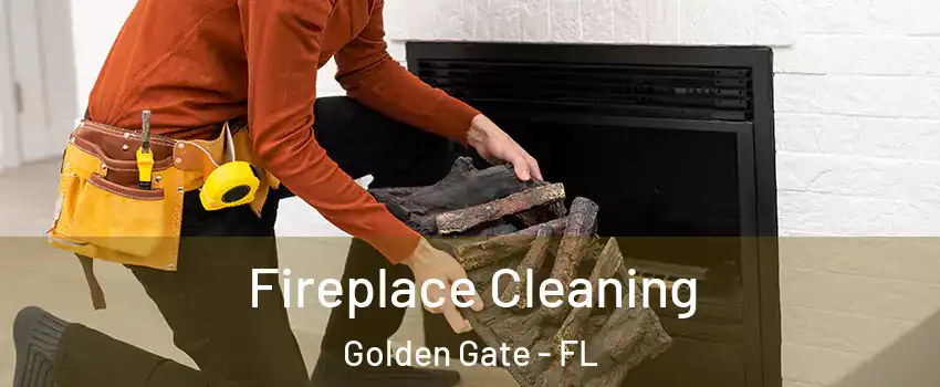  Fireplace Cleaning Golden Gate - FL