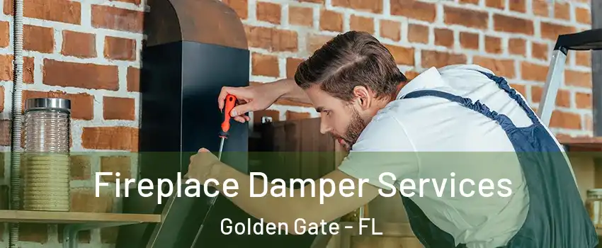  Fireplace Damper Services Golden Gate - FL
