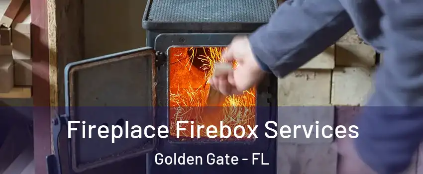  Fireplace Firebox Services Golden Gate - FL