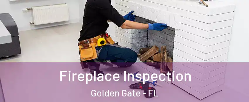  Fireplace Inspection Golden Gate - FL