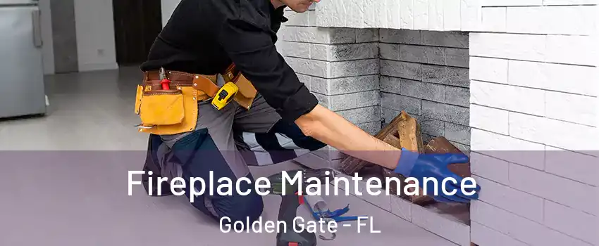  Fireplace Maintenance Golden Gate - FL
