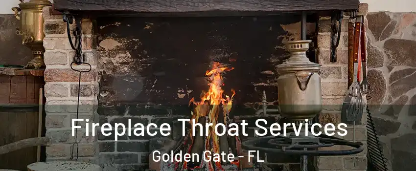  Fireplace Throat Services Golden Gate - FL