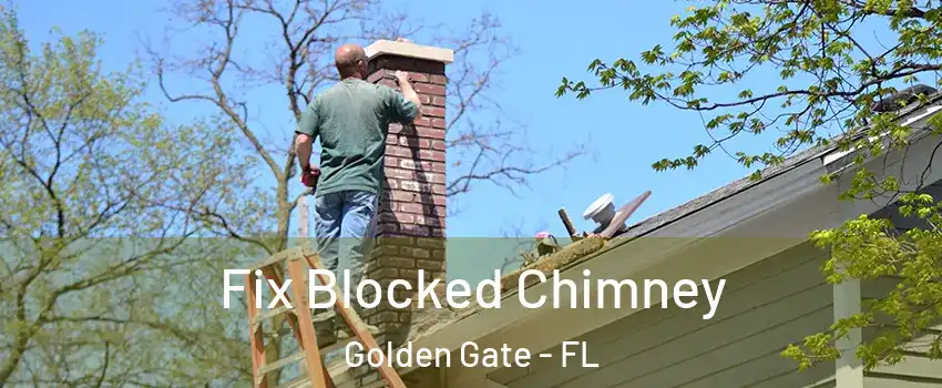  Fix Blocked Chimney Golden Gate - FL