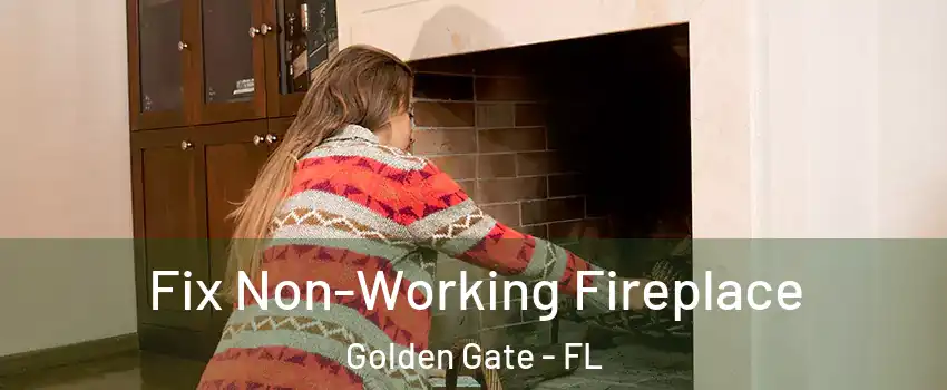  Fix Non-Working Fireplace Golden Gate - FL