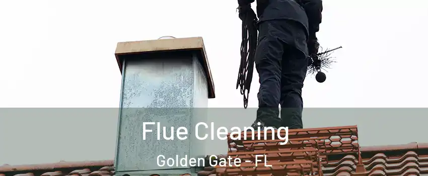  Flue Cleaning Golden Gate - FL