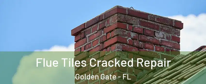  Flue Tiles Cracked Repair Golden Gate - FL