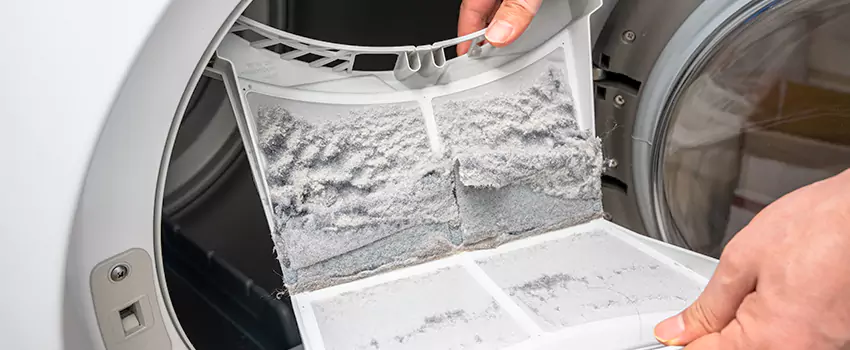 Best Dryer Lint Removal Company in Golden Gate, Florida