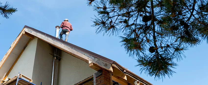 Birds Removal Contractors from Chimney in Golden Gate, FL