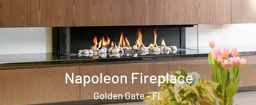  Napoleon Fireplace Golden Gate - FL