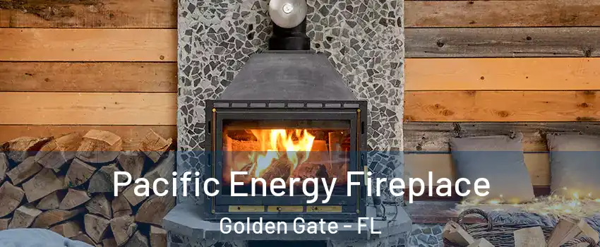  Pacific Energy Fireplace Golden Gate - FL